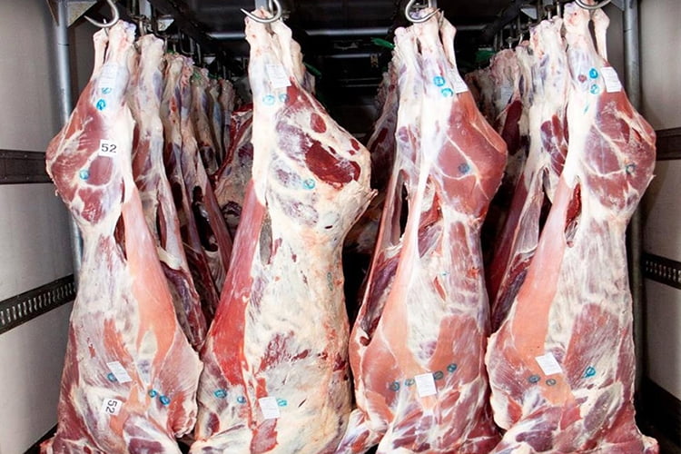 CERTIFIED FROZEN MEAT CARCASES OF BULLS AND SHEARS BUY IN UKRAINE