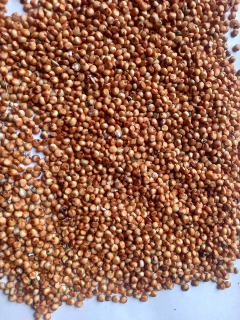 045_agrolifeukraine_com