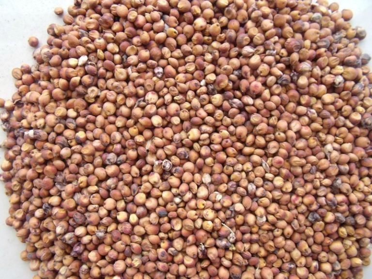 047_agrolifeukraine_com