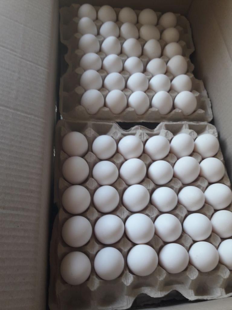 063_agrolifeukraine_com