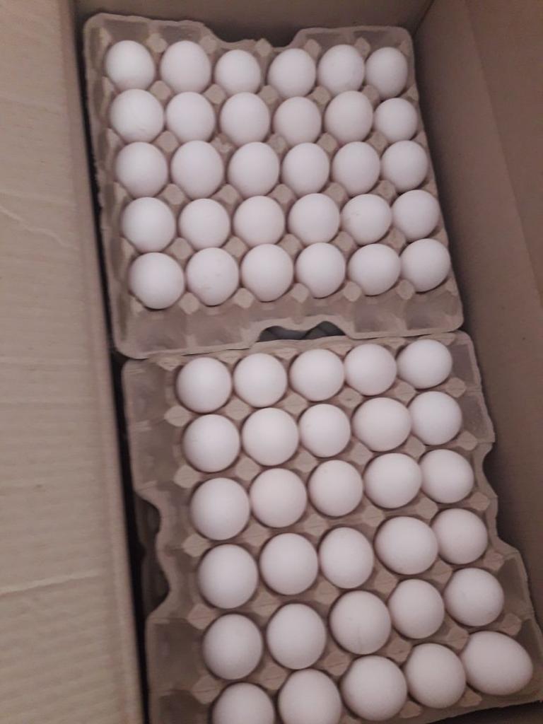 064_agrolifeukraine_com