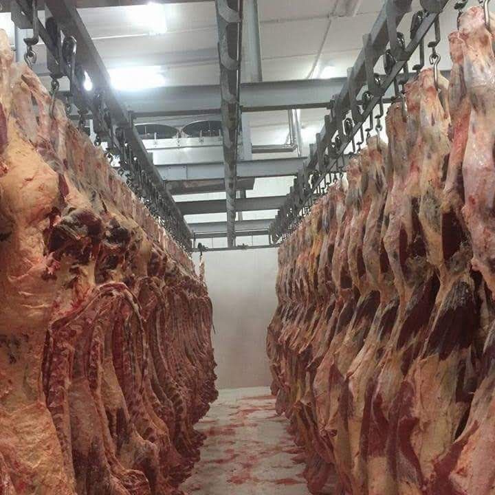 083_agrolifeukraine_com
