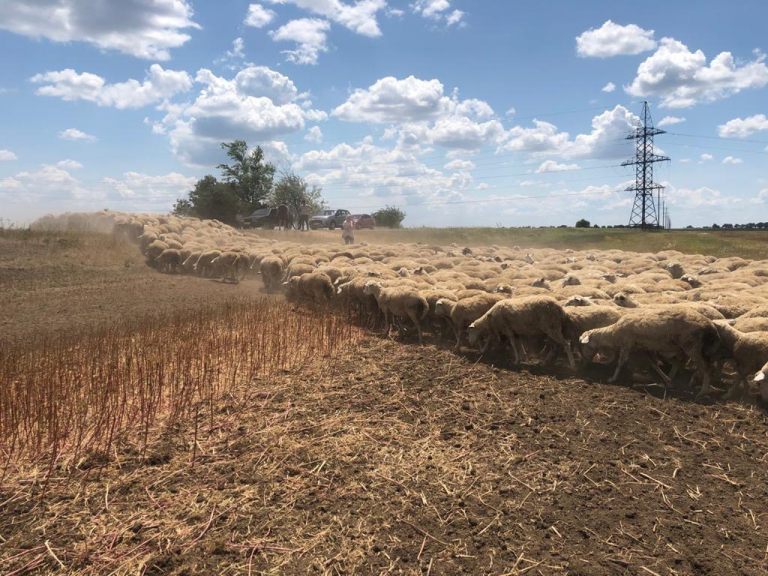 agrolifeukrainecom_04